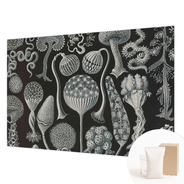 Papier peint photographique salon avec un motif de plantes magiques