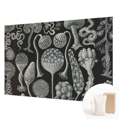 Papier peint photographique salon avec un motif de plantes magiques