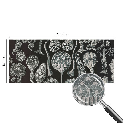 Papier peint photographique salon avec un motif de plantes magiques