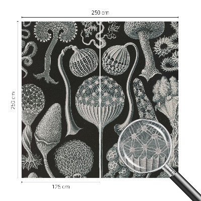 Papier peint photographique salon avec un motif de plantes magiques