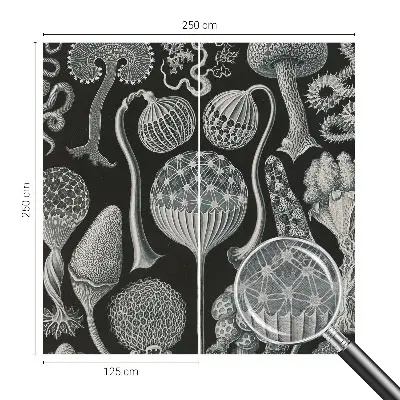Papier peint intissé Plantes magiques