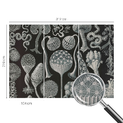 Papier peint photographique salon Magické rastliny