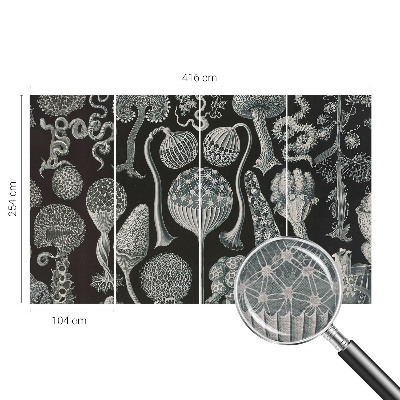 Papier peint photographique salon avec un motif de plantes magiques
