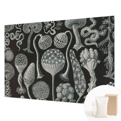 Papier peint photographique salon avec un motif de plantes magiques