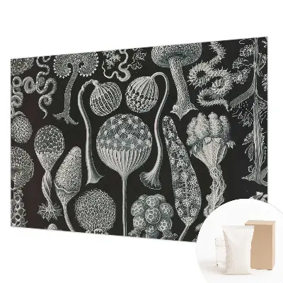 Papier peint intissé Plantes magiques