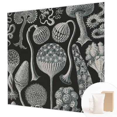 Papier peint photographique salon avec un motif de plantes magiques