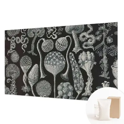 Papier peint intissé Plantes magiques