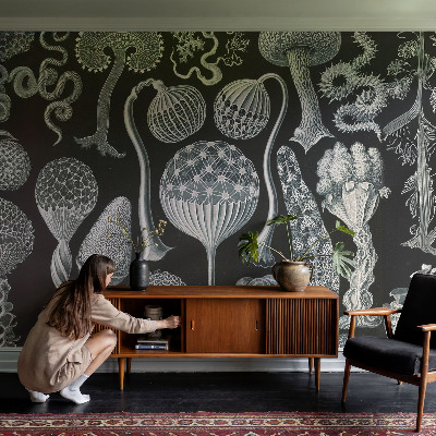 Papier peint photographique salon Magické rastliny