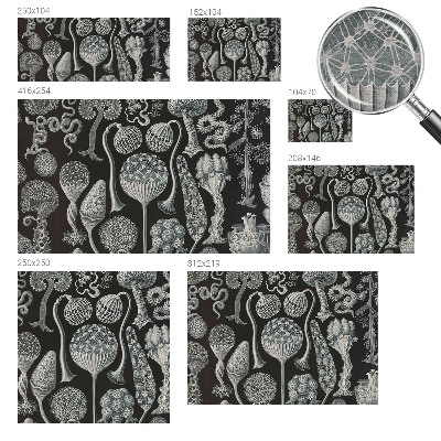 Papier peint photographique salon Magické rastliny