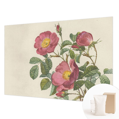 Papier peint photo avec un motif de roses