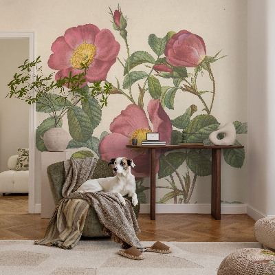 Papier peint photo Motív ruže