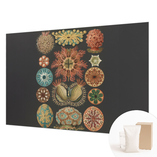 Papier peint panoramique facile à poser Morské inšpirácie