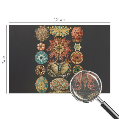 Papier peint panoramique facile à poser Morské inšpirácie