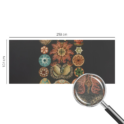 Papier peint panoramique facile à poser avec motif « Morské inšpirácie »