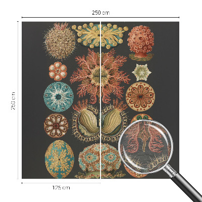 Papier peint panoramique facile à poser Morské inšpirácie