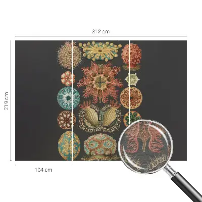 Papier peint panoramique facile à poser avec motif « Morské inšpirácie »