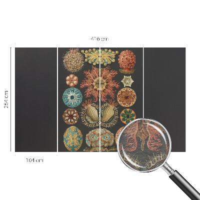 Papier peint panoramique facile à poser Morské inšpirácie