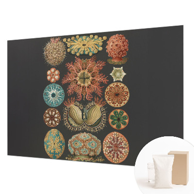 Papier peint panoramique facile à poser avec motif « Morské inšpirácie »