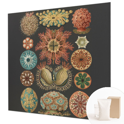 Papier peint panoramique facile à poser Morské inšpirácie