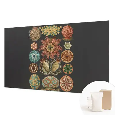 Papier peint panoramique facile à poser avec motif « Morské inšpirácie »