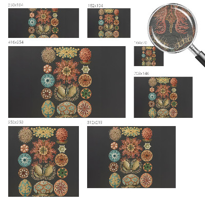 Papier peint panoramique facile à poser Morské inšpirácie