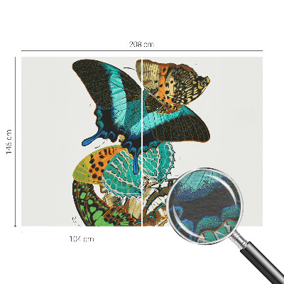 Poster mural panoramique Farebné motýle