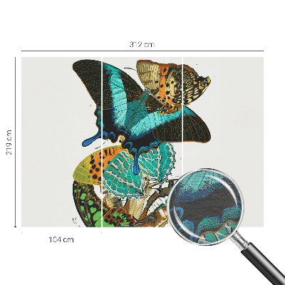 Poster mural panoramique Farebné motýle