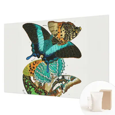 Papier peint photo imprimé sur tissu non tissé Papillons colorés