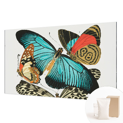 Papier peint salon moderne Farebné motýle