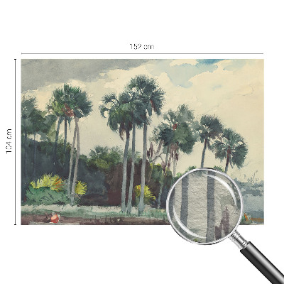 Papier peint panoramique intissé Exotické palmy