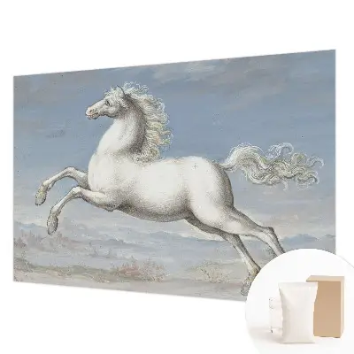 Papier peint photographique intissé Chevaux en saut