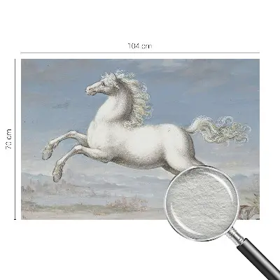 Papier peint photographique intissé Chevaux en saut