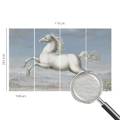 Papier peint photographique intissé Chevaux en saut
