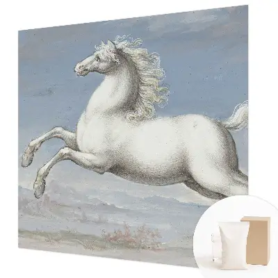 Papier peint photographique intissé Chevaux en saut