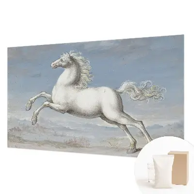 Papier peint photographique intissé Chevaux en saut