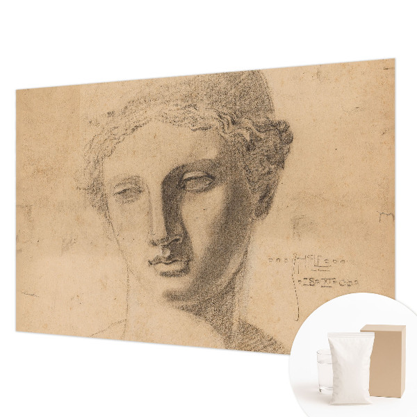 Papier peint photo intissé Ženský portrét