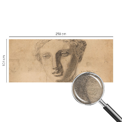 Papier peint photo intissé Ženský portrét