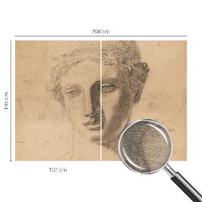 Papier peint photo intissé Ženský portrét