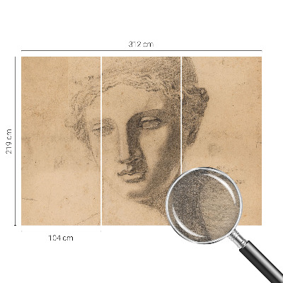 Papier peint photo intissé Ženský portrét