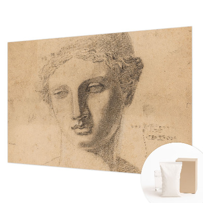 Papier peint photo intissé Ženský portrét