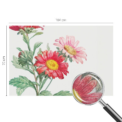 Papier peint panoramique Jemné kvety