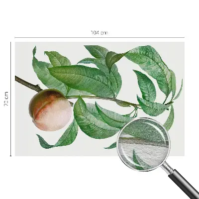 Papier peint photographique sur tissu non tissé pêche mûre