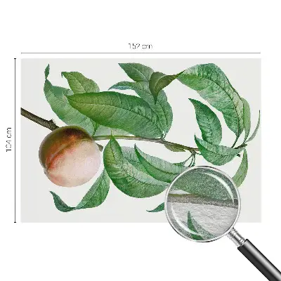 Papier peint photographique sur tissu non tissé pêche mûre