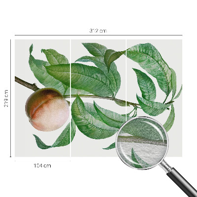 Papier peint panoramique sur mesure Zrelá broskyňa