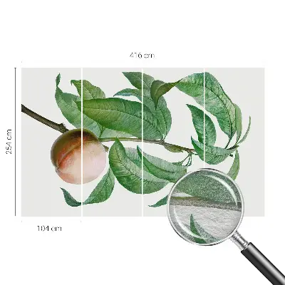 Papier peint photographique sur tissu non tissé pêche mûre