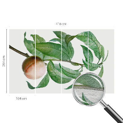 Papier peint panoramique sur mesure Zrelá broskyňa