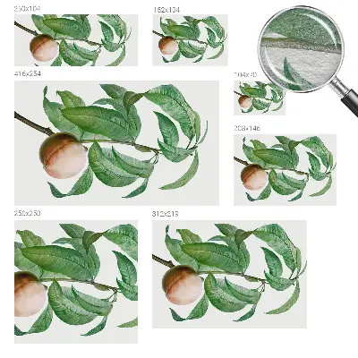 Papier peint photographique sur tissu non tissé pêche mûre