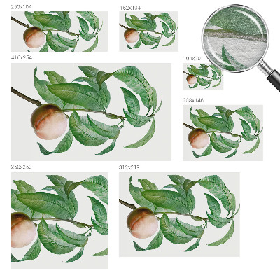 Papier peint panoramique sur mesure Zrelá broskyňa