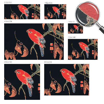 Papier peint photo Exotický vták