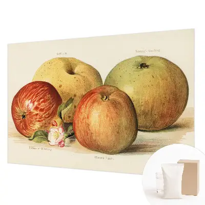 Papier peint intissé fleurs de pommier